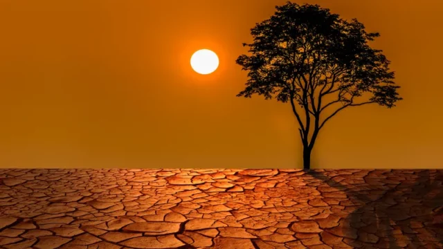 Cekricek.id - 2023 Diprediksi sebagai Tahun Terpanas Sepanjang Sejarah