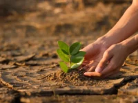 Cekricek.id - Masa Depan Bumi Terancam, Krisis Iklim Berpotensi Berlangsung 50 Ribu Tahun