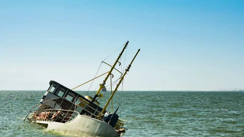 Cekricek.id - KM Labobar Tenggelam di Perairan Pulau Karamian, Sumenep: 1 Orang Tewas, 29 Ekor Sapi Mati