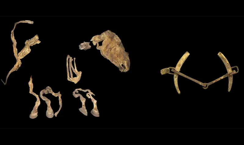 Cekricek.id - Penemuan Pelana Berkuda Abad 420 M di Makam Mongolia Ungkap Sejarah Perang Berkuda