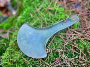 Cekricek.id - 5 Kapak Purba Berusia 3.500 Tahun Ditemukan Pencari Logam di Hutan Polandia