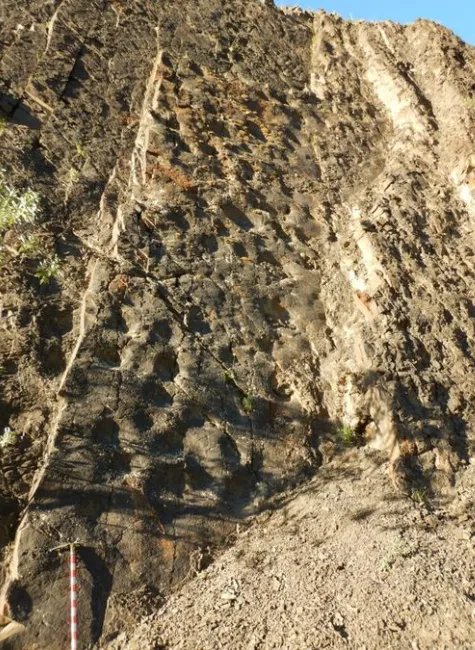 Ini 10 Fosil Dinosaurus yang Ditemukan Tahun 2023 13 Cekricek.id - Ini 10 Fosil Dinosaurus yang Ditemukan Tahun 2023