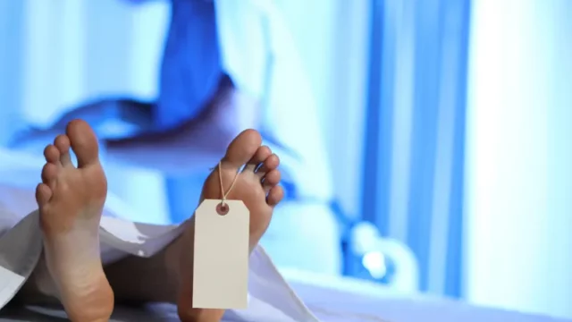 Cekricek.id - Teka teki Penemuan 5 Mayat di Unpri Medan