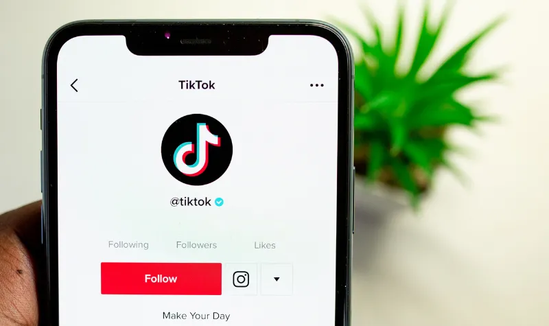 Cekricek.id - Rahasia Download Video TikTok tanpa Watermark dengan SnapTik