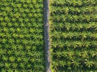 Berita Riau Hari Ini: Kasus PT. SIR: Tercapainya Kesepakatan Warga Okura dan Koperasi TOM, Satgas PT. SIR Optimistis Langkah Menuju Penyelesaian