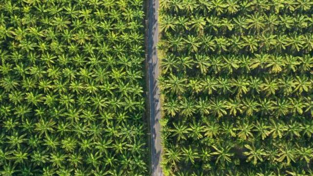 Berita Riau Hari Ini: Kasus PT. SIR: Tercapainya Kesepakatan Warga Okura dan Koperasi TOM, Satgas PT. SIR Optimistis Langkah Menuju Penyelesaian