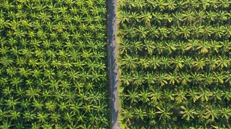 Berita Riau Hari Ini: Kasus PT. SIR: Tercapainya Kesepakatan Warga Okura dan Koperasi TOM, Satgas PT. SIR Optimistis Langkah Menuju Penyelesaian