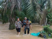 Berita Riau Hari Ini: Polisi Evakuasi 3 Lansia Terjebak Banjir di Kotalama Rokan Hulu