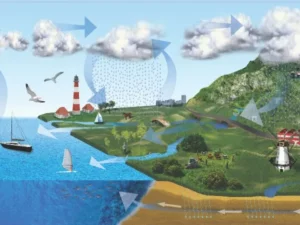 Prakiraan Cuaca Riau Sepanjang Tahun 2024: Curah Hujan Tahunan Normal Tanpa Anomali El Nino