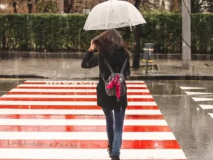 Berita Riau Hari Ini: Rencana Modifikasi Cuaca di Riau Dibatalkan: BMKG Prediksi Turunnya Curah Hujan