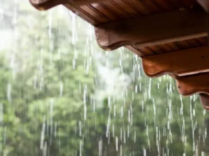 Cekricek.id - Prakiraan Cuaca Riau