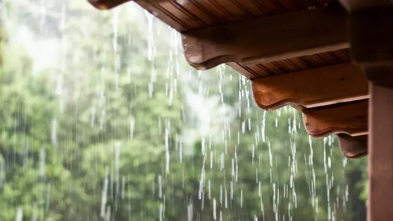 Cekricek.id - Prakiraan Cuaca Riau