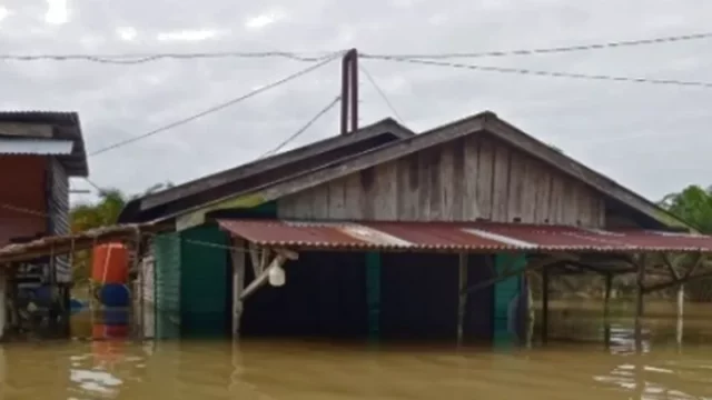 Cekricek.id: Berita Riau hari Ini: Berita Kampar Hari Ini: Banjir Kampar: Banjir Kampar Kiri: Sungai Subayang Meluap, Ratusan Rumah Terendam