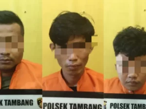 Cekricek, Berita Kampar Hari Ini dan Berita Riau Hari Ini: Polsek Tambang Berhasil Menangkap 3 Tersangka Curanmor dan Ahli Bongkar Rumah