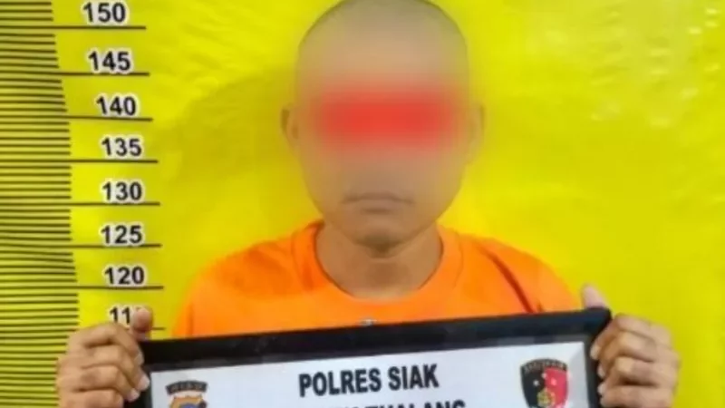 Cekricek, Berita Siak Hari Ini dan Berita Riau Hari Ini: Terekam CCTV, Pencuri HP di Perawang Ditangkap Polsek Tualang