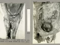 Cekricek.id - Misteri Penemuan Mumi Perempuan Mesir Kuno Tanpa Kepala Bersama 2 Bayi Kembar
