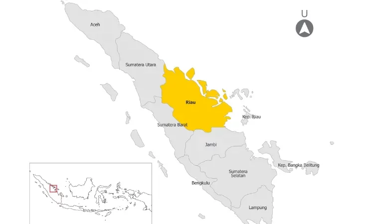 Cekricek.id, Berita Riau Hari Ini: Berita Riau Hari Ini: Kondisi geologi Riau didominasi oleh batuan sedimen kuarter dengan sisipan batuan sedimen tersier di bagian barat dan selatan.