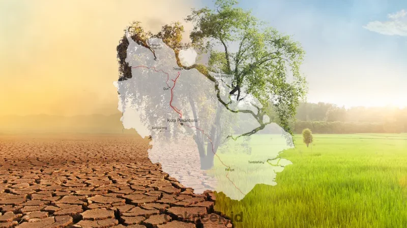 Cekricek.id, Berita Riau Hari Ini: Inilah gambaran umum kondisi iklim Riau. Provinsi Riau beriklim tropis basah dengan curah hujan rata-rata 1.400-4.000 mm per tahun.