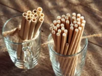 Cekricek.id - Potensi Bahaya Sedotan Kertas