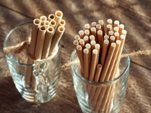 Cekricek.id - Potensi Bahaya Sedotan Kertas