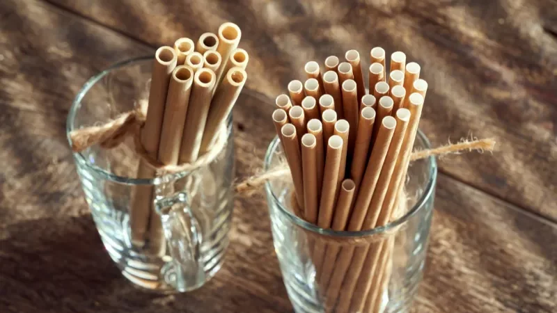 Cekricek.id - Potensi Bahaya Sedotan Kertas