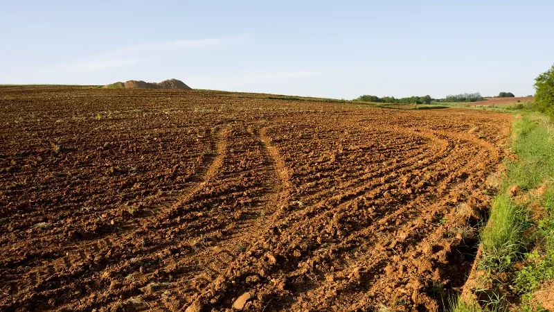 Cekricek.id - Potret Penggunaan Lahan di Riau