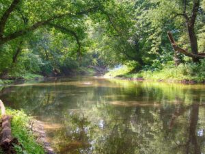 Berita Inhu Hari Ini dan Berita Riau Hari Ini: Siswa SMA di Inhu Hilang Tenggelam Setelah Terpegang Kabel Listrik Saat Mancing