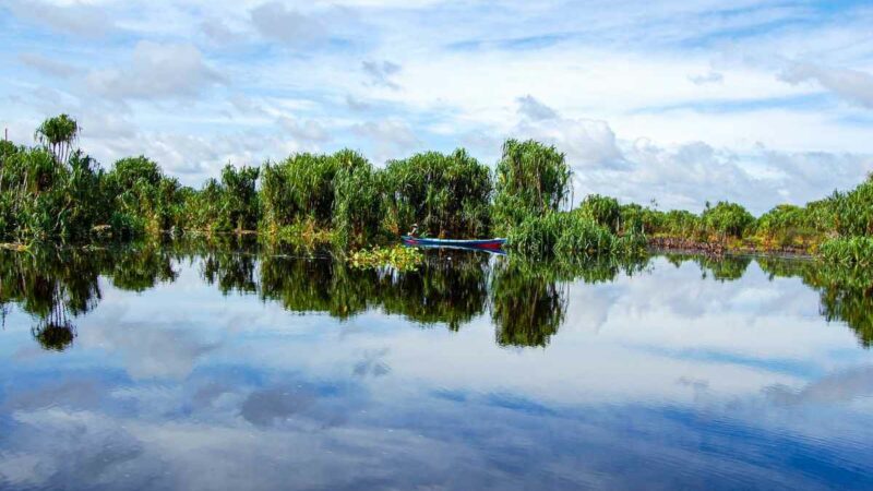 Berita Inhil Hari Ini dan Berita Riau Hari Ini: Jenis Tanah di Indragiri Hilir: 80 Persen Tanah Gambut