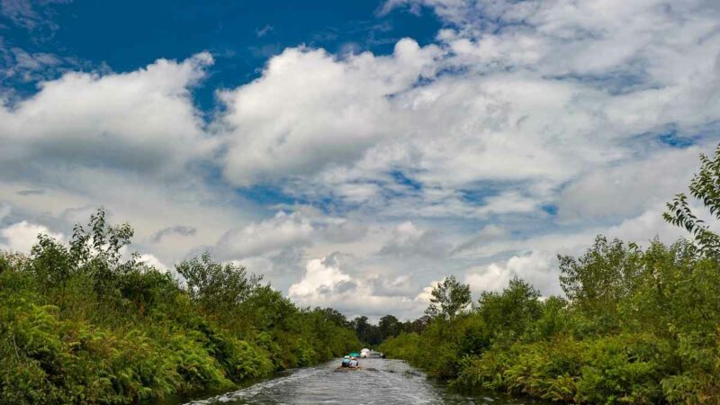 Berita Inhil Hari Ini dan Berita Riau Hari Ini: Kondisi Daya Dukung Lahan Indragiri Hilir: Karakteristik Tanah dan Potensi Lahan
