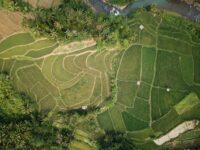 Berita Inhil Hari Ini dan Berita Riau Hari Ini: Potensi Pengembangan Wilayah Indragiri Hilir