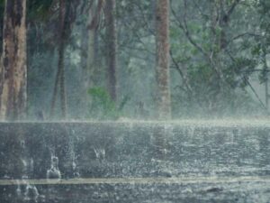 Berita Bengkalis Hari Ini dan Berita Riau Hari Ini: Kondisi Iklim Bengkalis: Musim Hujan Terjadi pada Bulan Oktober Hingga April