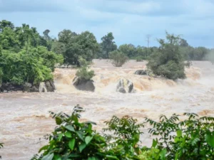 Berita Pekanbaru Hari Ini dan Berita Riau Hari Ini: Pemko Pekanbaru Serahkan Bantuan untuk 1.200 KK Korban Banjir di DAS Siak