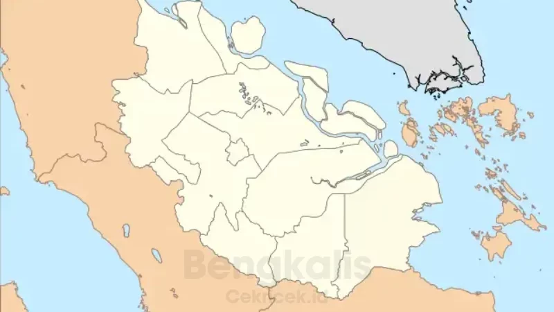 Potret Topografi Bengkalis: Didominasi oleh Fisiografi Cekungan Rawa