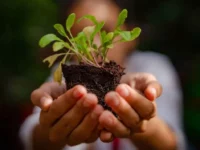 Panduan Utama: Cara Membuat Donat dari Awal Pasti Lezat