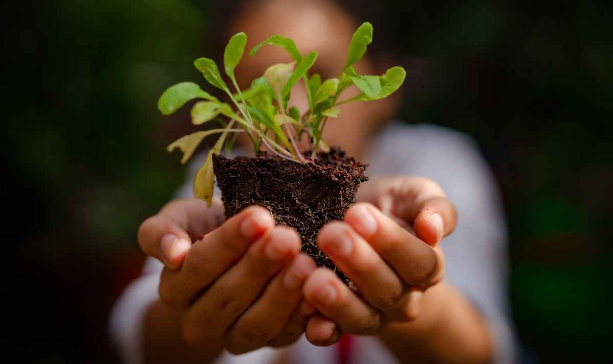 Tips untuk Menerapkan Gaya Hidup Berkelanjutan di Indonesia 4 Tips untuk Menerapkan Gaya Hidup Berkelanjutan di Indonesia