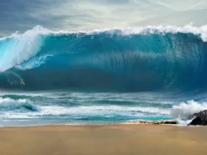 Cekricek.id - Tsunami Hantam Pesisir Jepang Setelah Gempa 7,6 SR