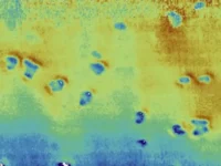 Misteri Jutaan Lubang yang Ditemukan di Dasar Laut Utara Terungkap, Ternyata Ini Penyebabnya!