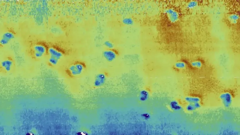 Misteri Jutaan Lubang yang Ditemukan di Dasar Laut Utara Terungkap, Ternyata Ini Penyebabnya!