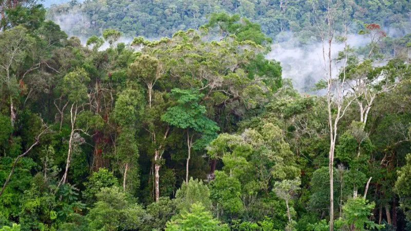 Berita Riau Hari Ini: Ini Gambaran Umum Sumber Daya Alam Riau