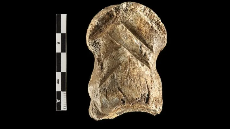 Menakjubkan! 13 Penemuan Karya Seni Purba, 2 di Indonesia Berusia 540 Ribu Tahun 19 Inilah 13 Karya Seni Purba, 2 Ada di Indonesia Berusia 540 Ribu Tahun