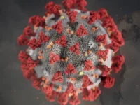 Fragmen "Zombie" Virus Corona, Picu Gejala Parah COVID-19