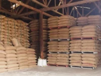 Berita Riau Hari Ini: Stok Beras Bulog Riau Aman Hingga Lebaran, Capai 21 Ribu Ton