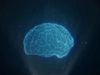 Miniatur Otak Embrio Manusia dan Sumsum Tulang Belakang Berhasil Ditanam di Laboratorium