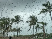 Prakiraan Cuaca Riau, 14 Februari 2024: Waspada Hujan Lebat dan Gelombang Tinggi di Perairan Bintan