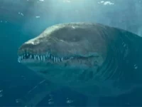 Monster Laut Jurassic Setinggi 9,1 Meter Kembali Hidup dalam Film Dokumenter Baru David Attenborough