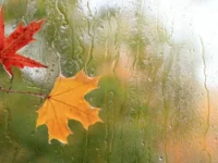 Berita Riau Hari Ini: Prakiraan Cuaca Riau