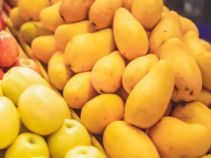 Berita Riau Hari Ini: Bea Cukai Musnahkan 19,8 Ton Mangga Ilegal Asal Malaysia