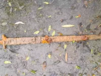 Pedang Viking 1.100 Tahun Ditemukan di Sungai Inggris