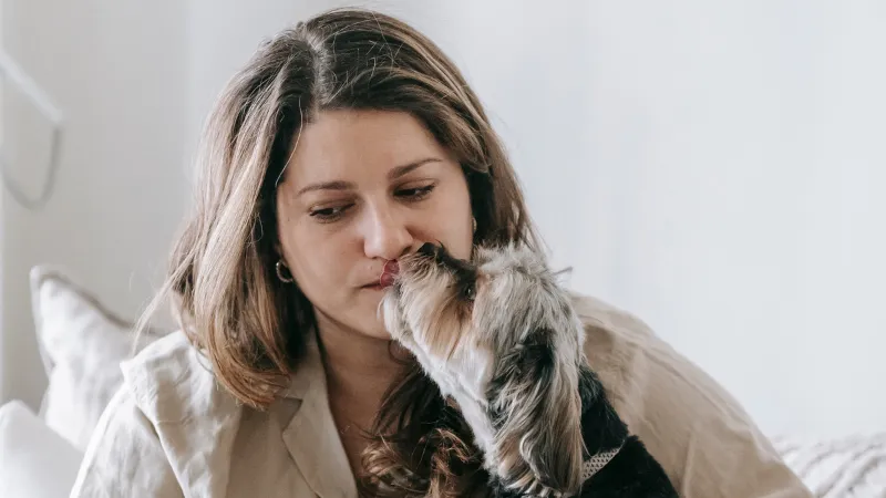 Risiko Kesehatan Akibat Dijilat Anjing Peliharaan