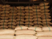 Berita Riau Hari Ini: Stok Beras di Riau Cukup untuk Setengah Tahun Kedepan